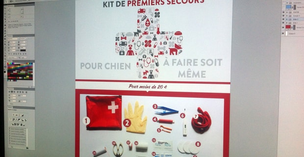 Kit Premiers Secours Chien