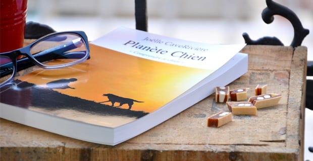 Planete Chien Joelle CaveRiviere